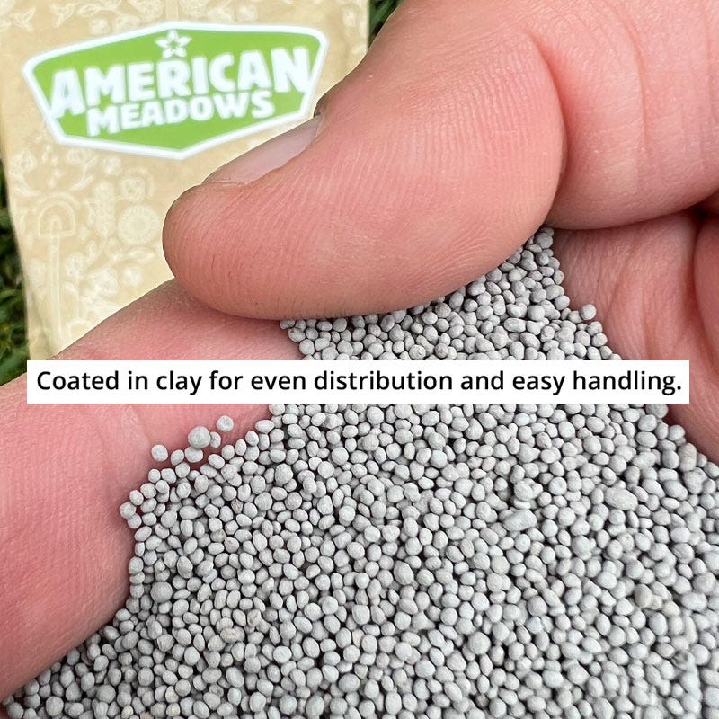 Microclover® Seed - The Original Low-Maintenance Lawn